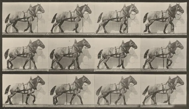 Stills In Motion wallpaper: Billy Hauling 1887